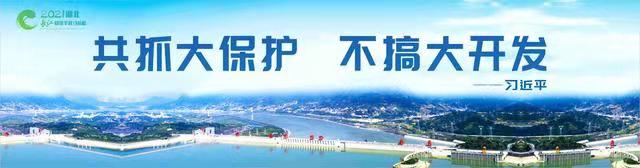 熊猫体育